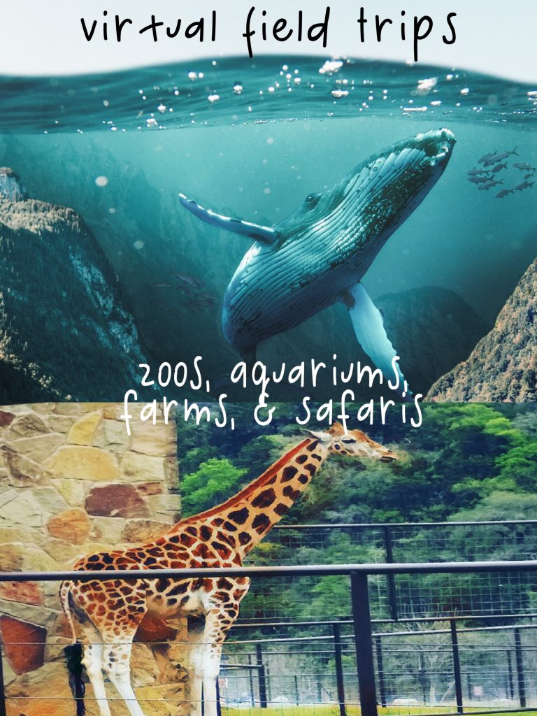 Virtual Field Trips for Kids