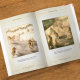 Peter Rabbit Christmas books